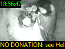 18:56:47
