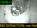 19:00:33