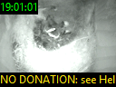 19:01:01