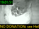 19:01:51