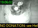 19:06:02