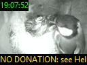19:07:52