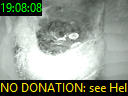 19:08:08