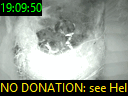 19:09:50