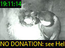 19:11:14