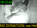 19:12:43