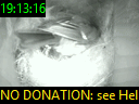 19:13:16