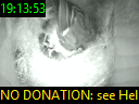 19:13:53