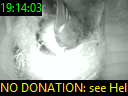 19:14:03