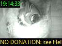 19:14:33