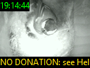 19:14:44