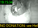 19:15:34