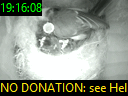 19:16:08