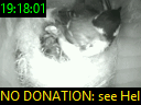 19:18:01