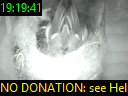 19:19:41