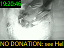 19:20:46