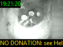 19:21:20