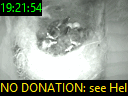 19:21:54
