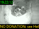 19:22:12