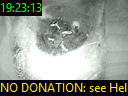 19:23:13