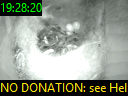 19:28:20
