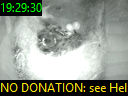 19:29:30