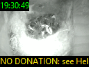 19:30:49