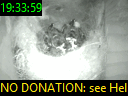 19:33:59