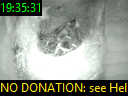 19:35:31