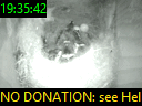 19:35:42
