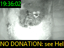 19:36:02