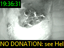 19:36:31