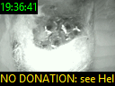 19:36:41