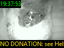 19:37:53