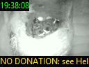 19:38:08