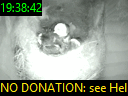 19:38:42
