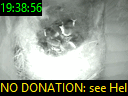 19:38:56