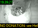 19:39:27