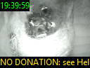 19:39:59