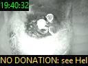 19:40:32