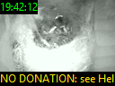 19:42:12