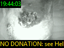 19:44:03