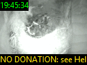 19:45:34