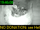 19:46:08