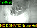 19:46:20