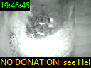 19:46:45