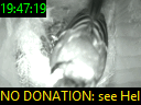 19:47:19