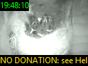 19:48:10