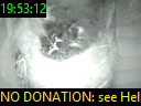 19:53:12