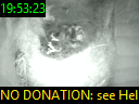 19:53:23